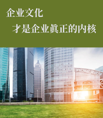 重庆智训标数科技数据系统开发：企业级数字化管理平台选型要点解析